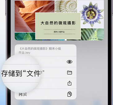 南岳apple维修中心分享iPhone文件应用中存储和找到下载文件