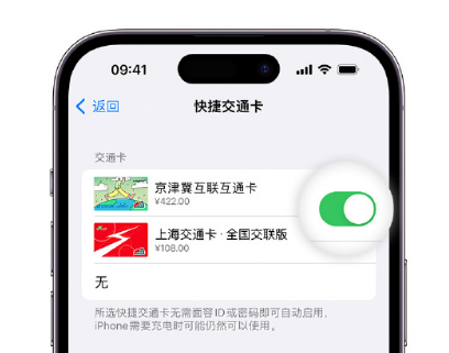 南岳apple维修点分享iPhone上更换Apple Pay快捷交通卡手绘卡面 