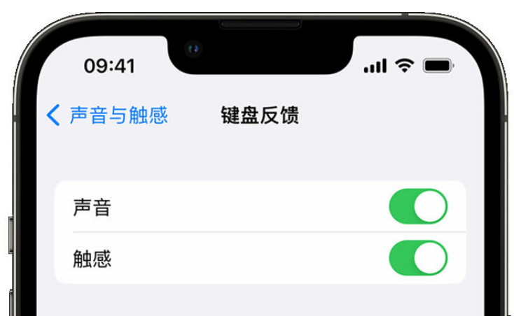 南岳苹果手机维修分享iPhone 14触感键盘使用方法 