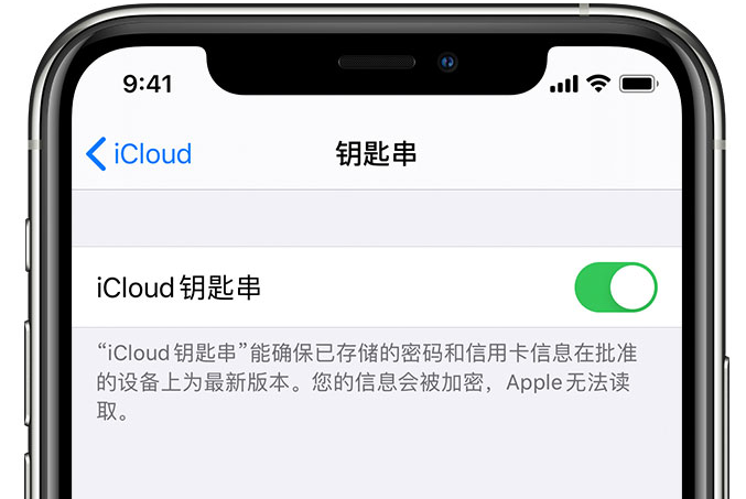 南岳苹果手机维修分享在 iPhone 上开启 iCloud 钥匙串之后会储存哪些信息 