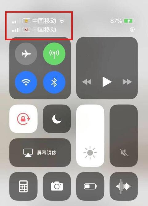 南岳苹果手机维修分享为 iPhone 12 双卡设置标签 